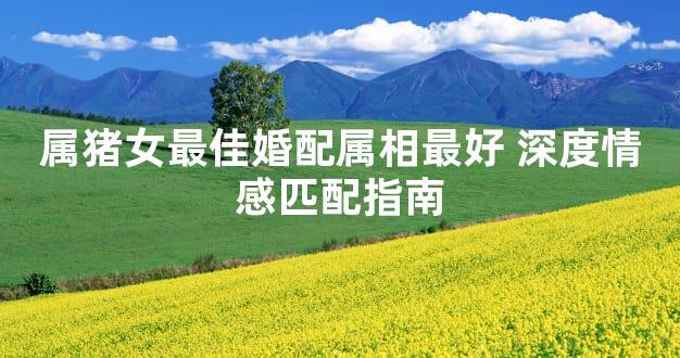属猪女最佳婚配属相最好 深度情感匹配指南